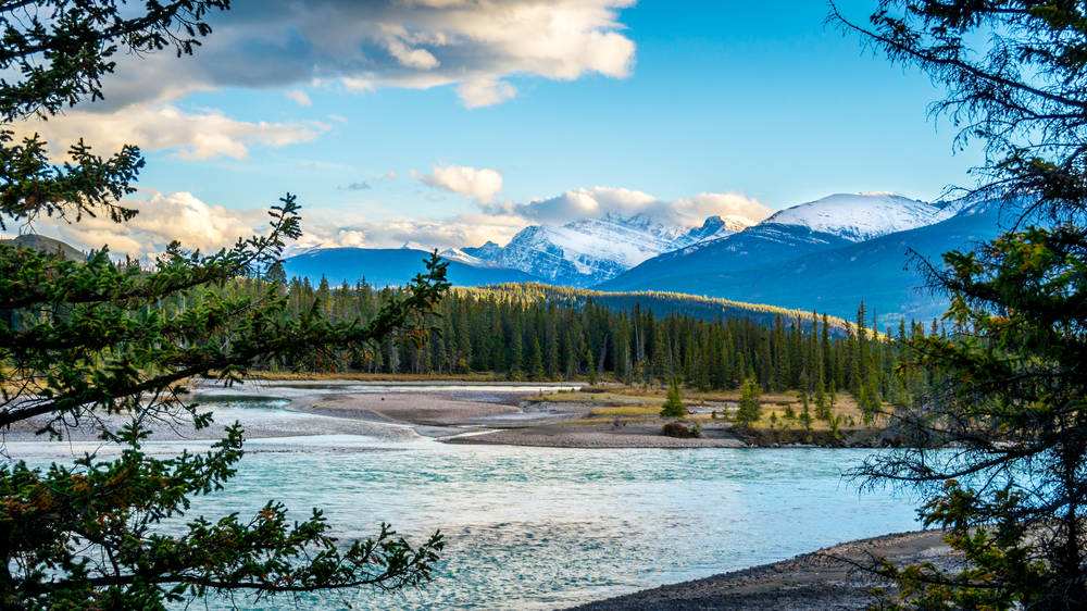 留学生看过来！学签工签申请有新动态、魁省移民新要求！