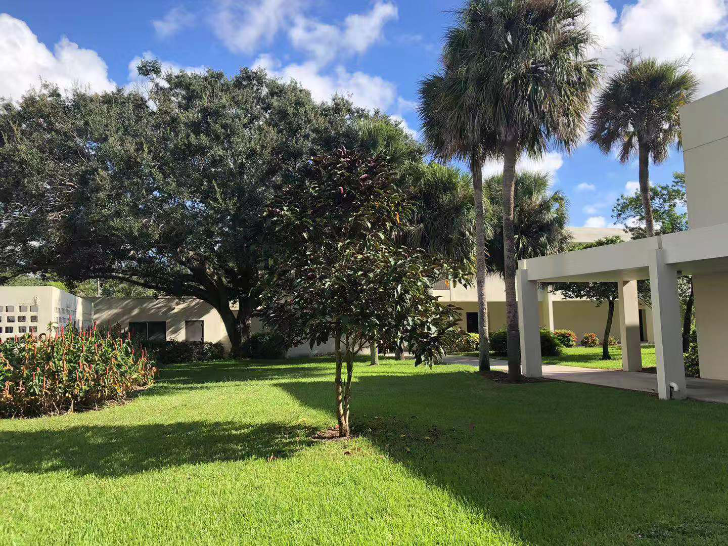 快看！6月中国客运航班飞往美国留学被禁？