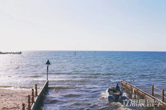 干货分享！澳洲留学签证体检全攻略