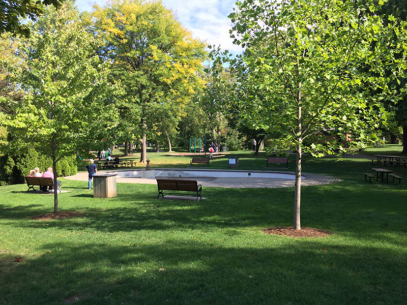 盘点！澳洲最难申请四大专业