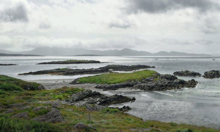 工作机遇特殊技能拿永居机会，爱尔兰实现留学价值最大化