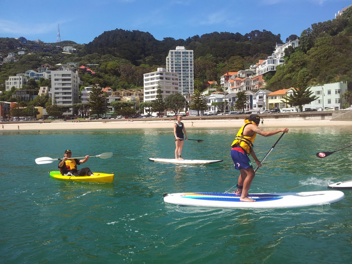 无需等待，新西兰大学预科网课才是你的最佳选择！