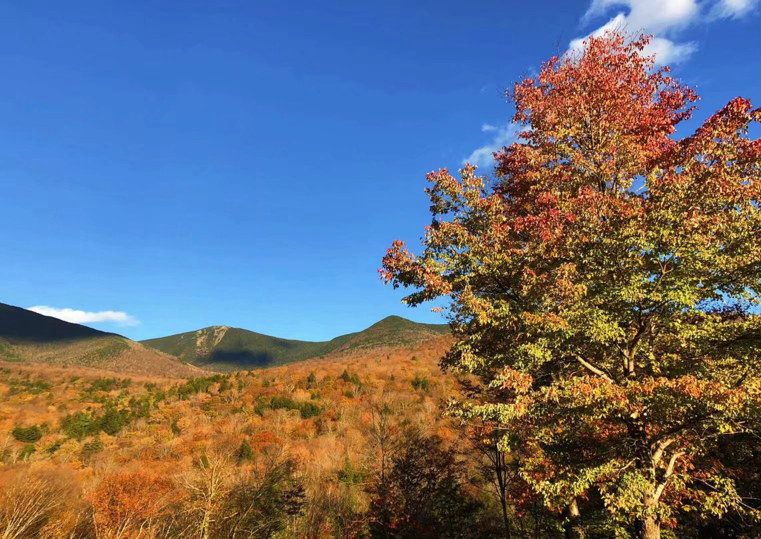 2020年美国留学一年需要花费多少钱？具体开销在哪些方面？