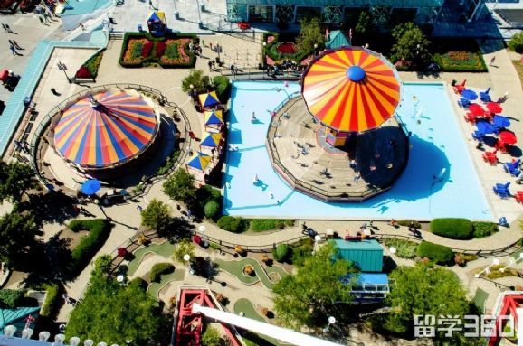 新西兰留学生活