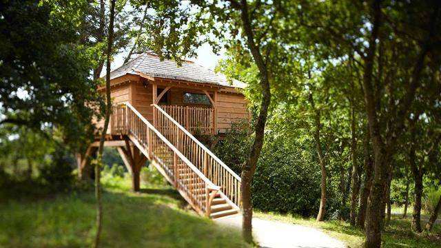 什么？他们竟然有时效期7年的加拿大工签！