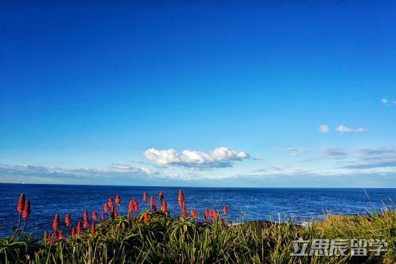 澳洲留学到底有多贵！还真有人明明白白的算了一笔