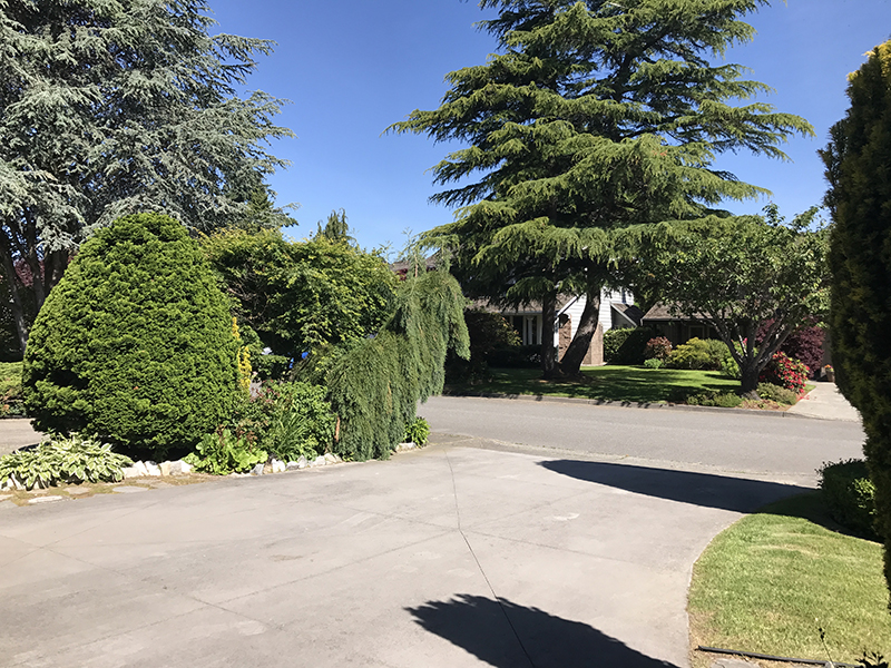 去加拿大留学到底要求有多高？一起来看看！