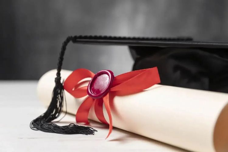 艺术学生的有利新政策来了