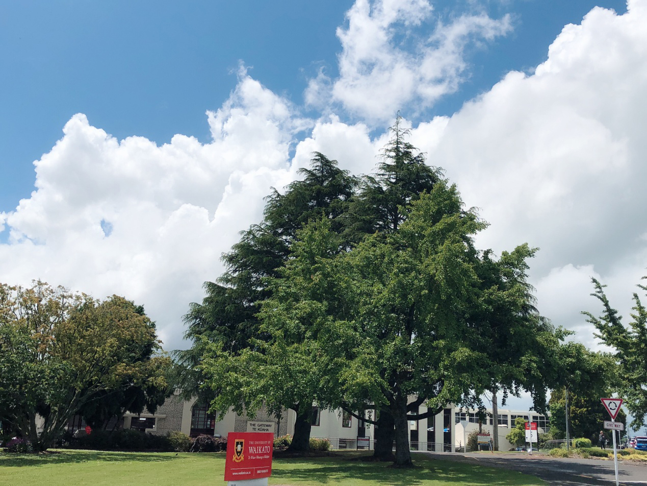 新西兰留学博士？条件苛刻吗？有哪些优势呢？就业如何？