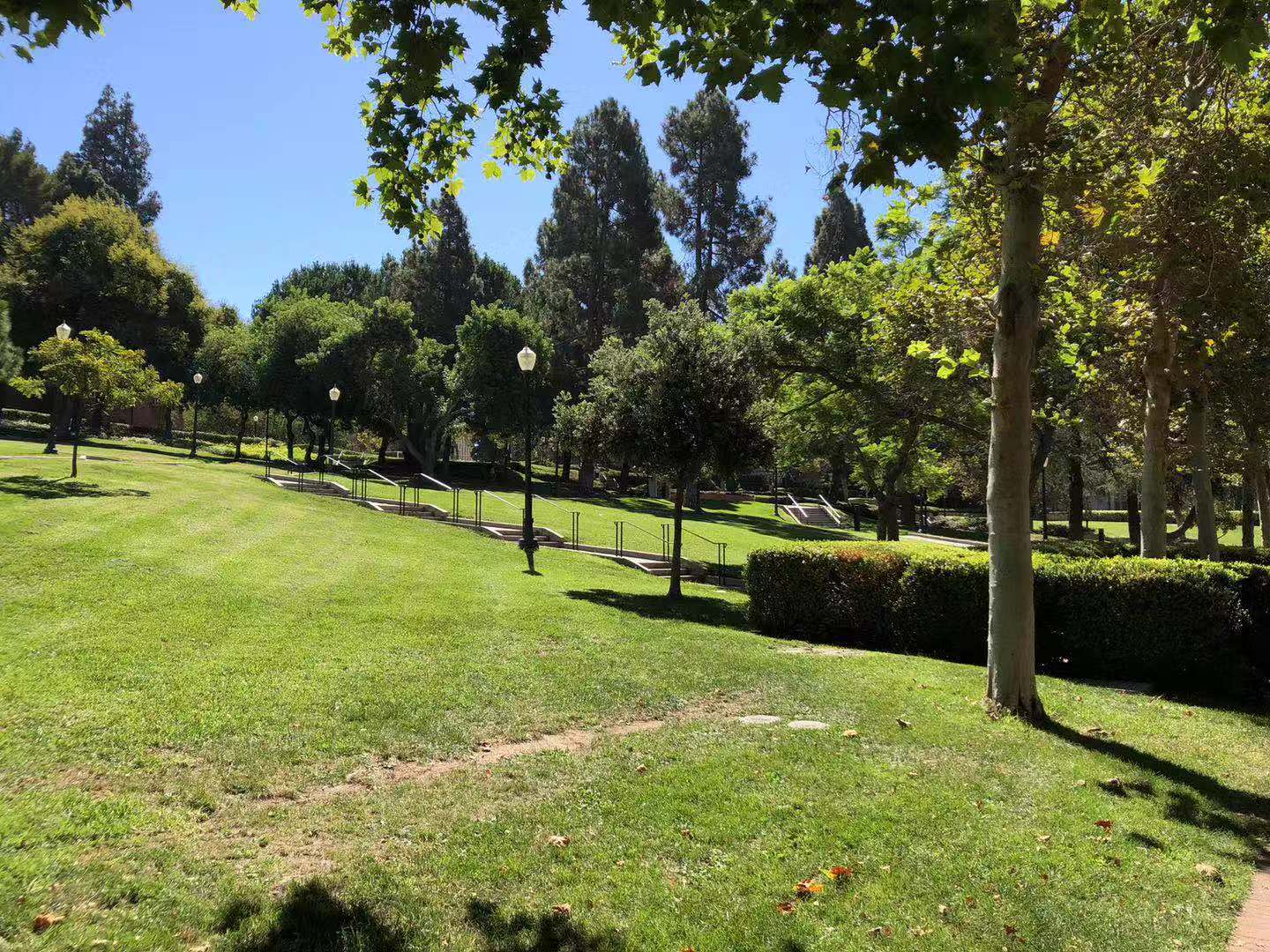 美国本科申请Undecided不定专业最全面解读