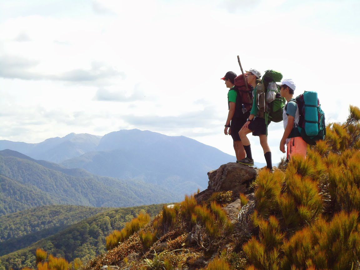 新西兰硕士留学申请全解析！