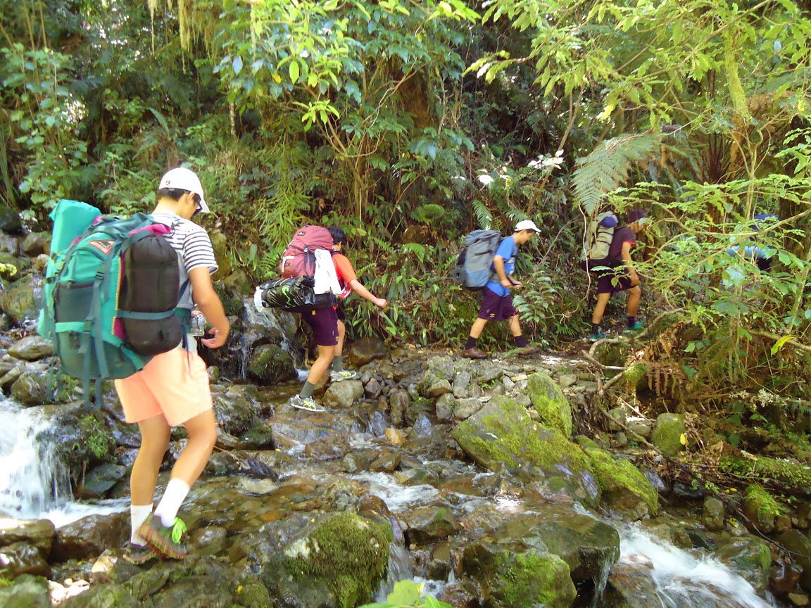 新西兰幼教硕士，助力技术移民走上快速通道！
