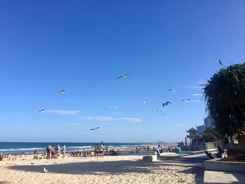 澳洲各大高校开放奖学金！人人都有机会领！