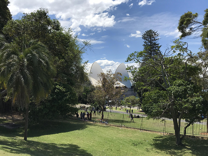 南澳多所知名高校最新奖学金合集！最高可享受连续四年半学费半价