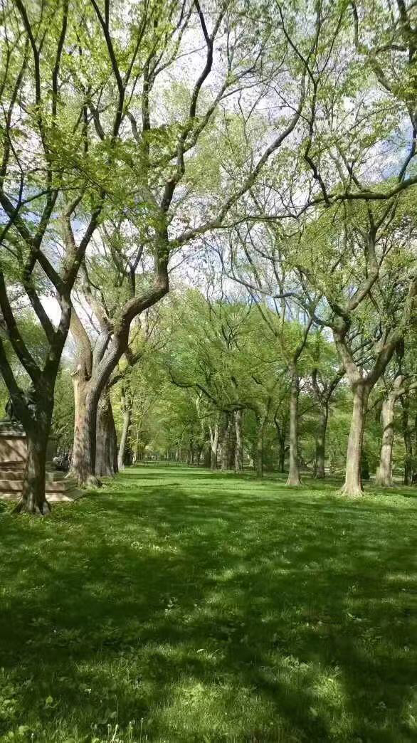 什么样的人才有资格上锡耶纳赫兹大学