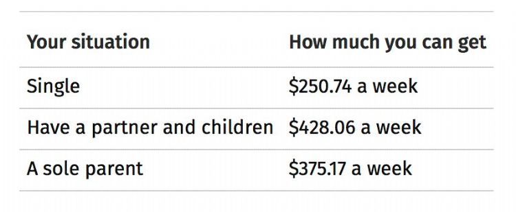 新西兰旅游签证也可以领补助金！2月28日就要结束申请了！