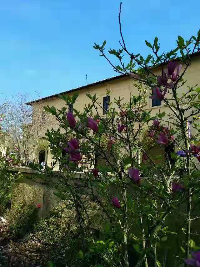 去美国留学如何才能争取到想要的奖学金呢？