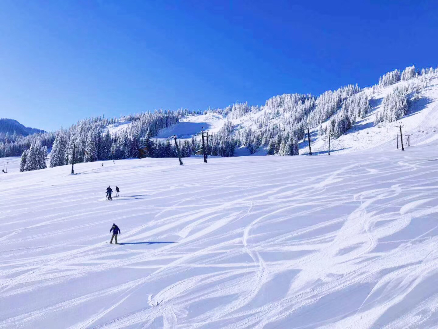 扒一扒，美国绘画专业最受欢迎的五所大学，有你心动的吗？