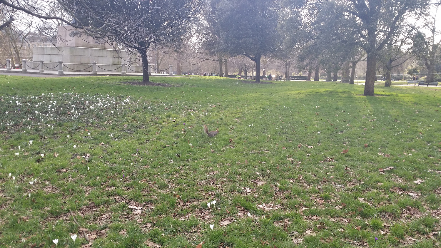 英国工签12月1日起大幅简化，永居门槛降低！