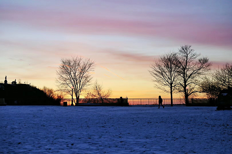 加拿大五大热门文科类专业，你知道那个？