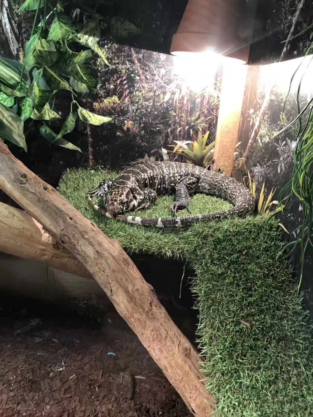 去俄罗斯留学的必备条件介绍