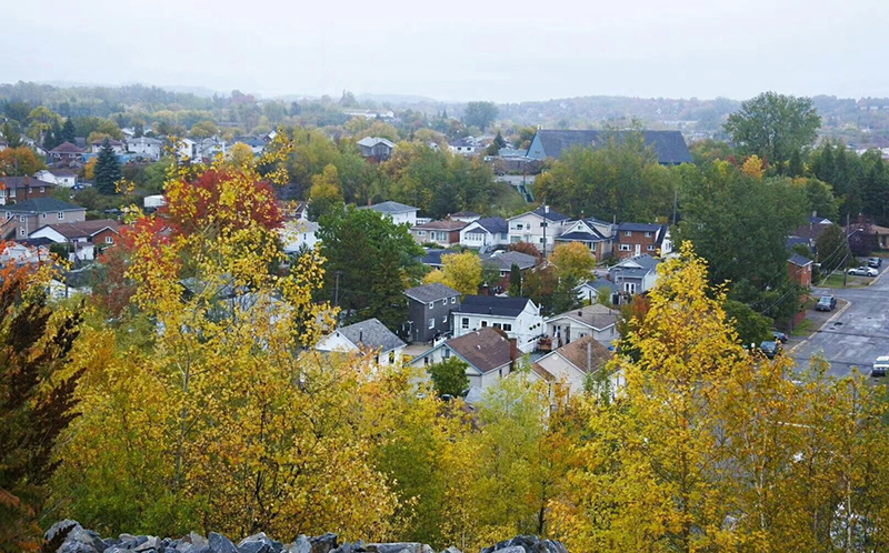 缺少这些证件无法回国？疫情期间，蒙城办理证件需要遵循这些新规！