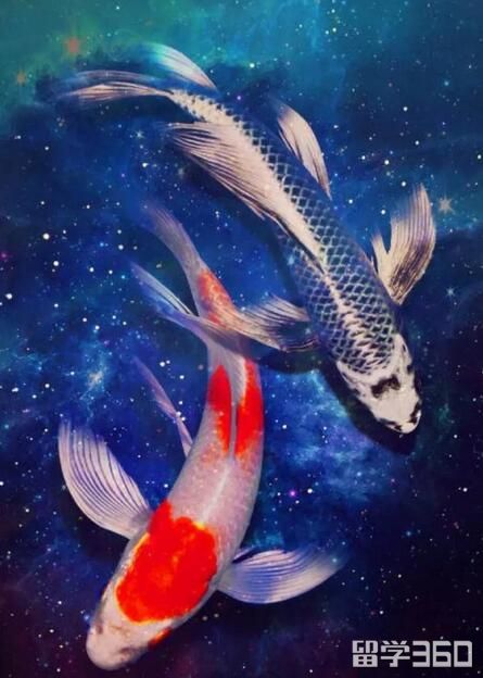 听说你拿到了10000澳元奖学金！住宿费还能减半！