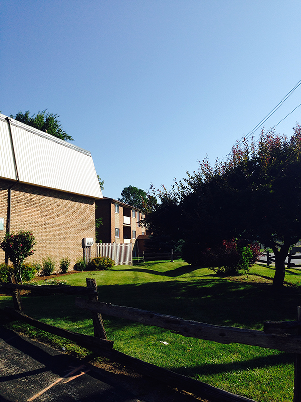 加拿大留学签证所需材料都在这！