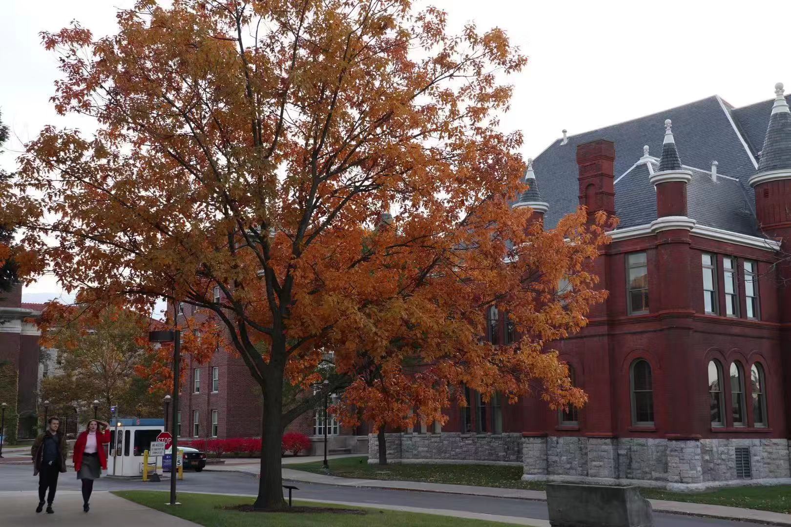 美国留学奖学金申请，需要知道哪些内容？