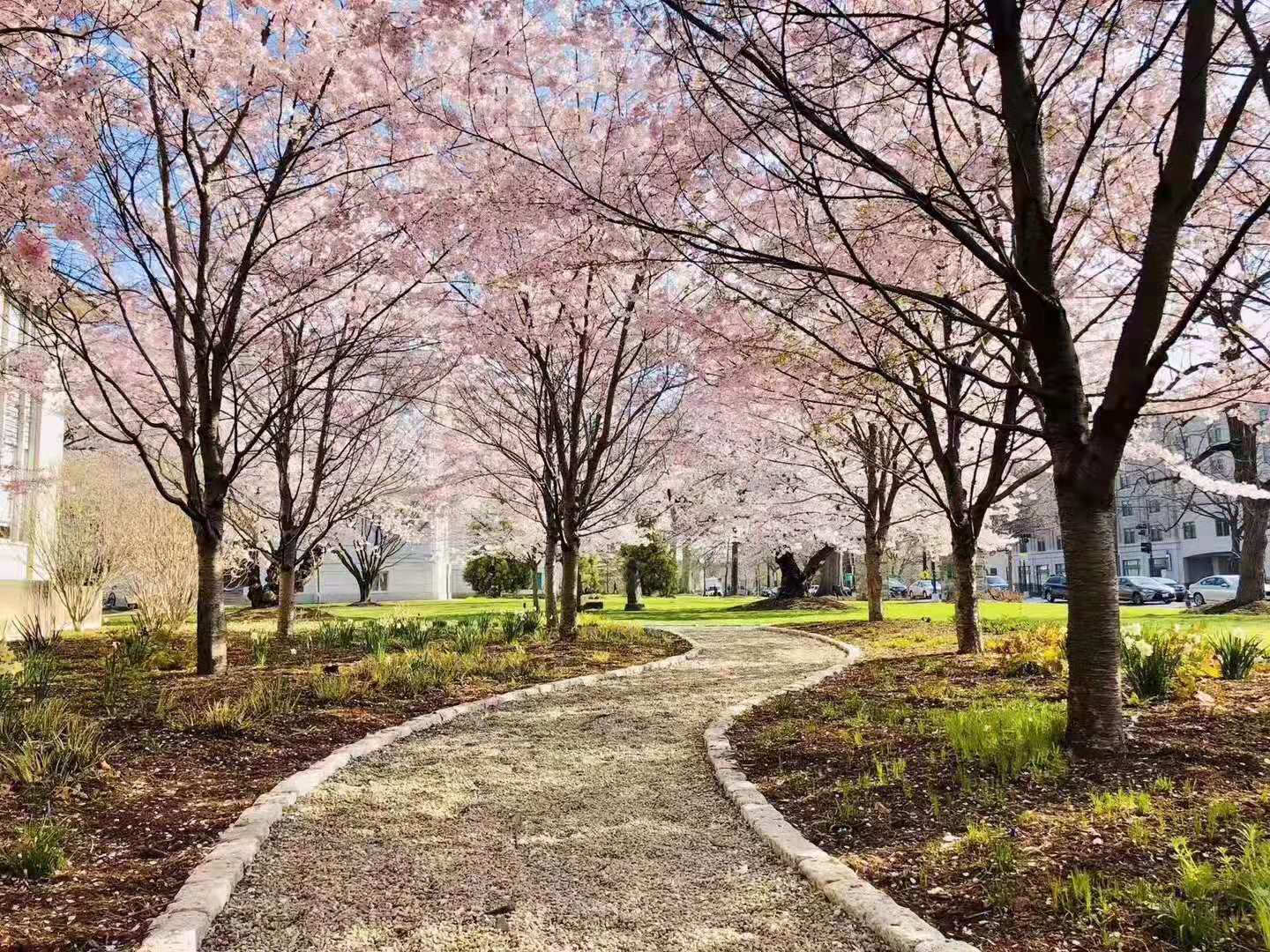 美国留学生活费用大揭秘，你准备好钱了吗？