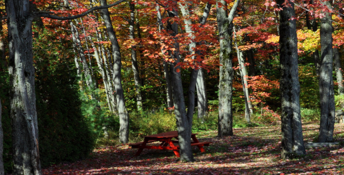 加拿大留学签证被拒原因有哪些？