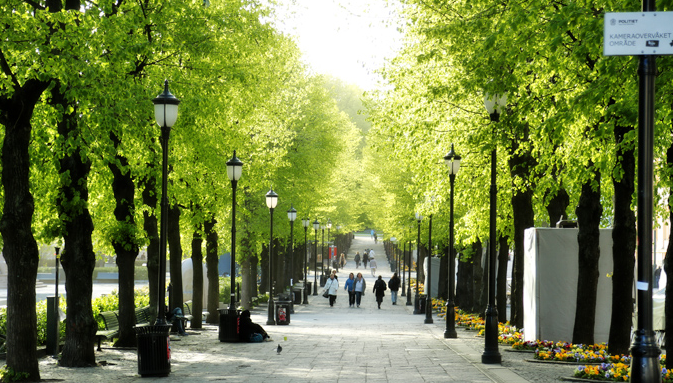 赴挪威留学的要求与优势