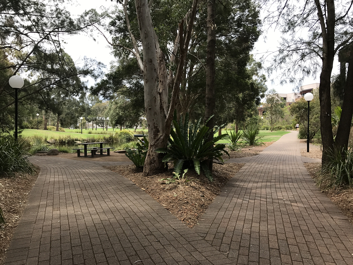 留学生注意了！悉尼科技大学最新奖学金重磅来袭！