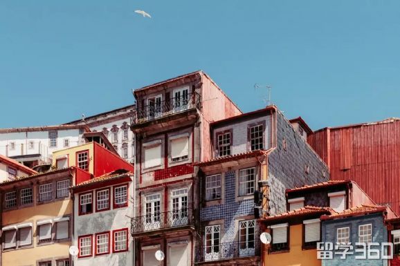 新西兰留学生活