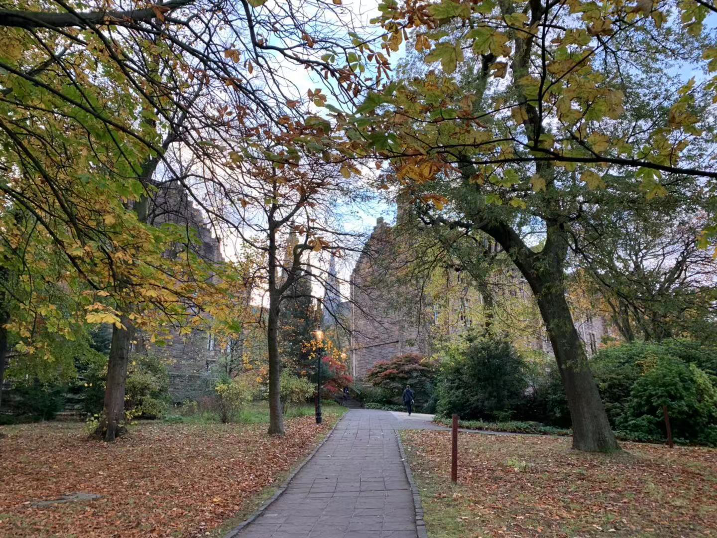 英国统计学专业有哪些院校值得推荐？