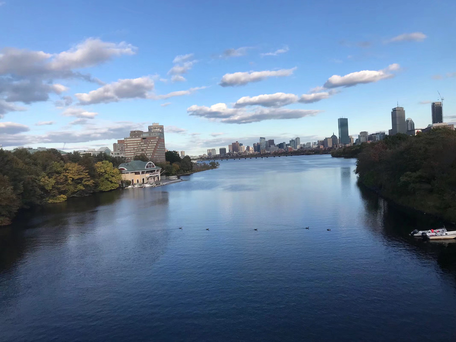 赴美留学，这10条签证技巧是签证官给的，建议收藏！