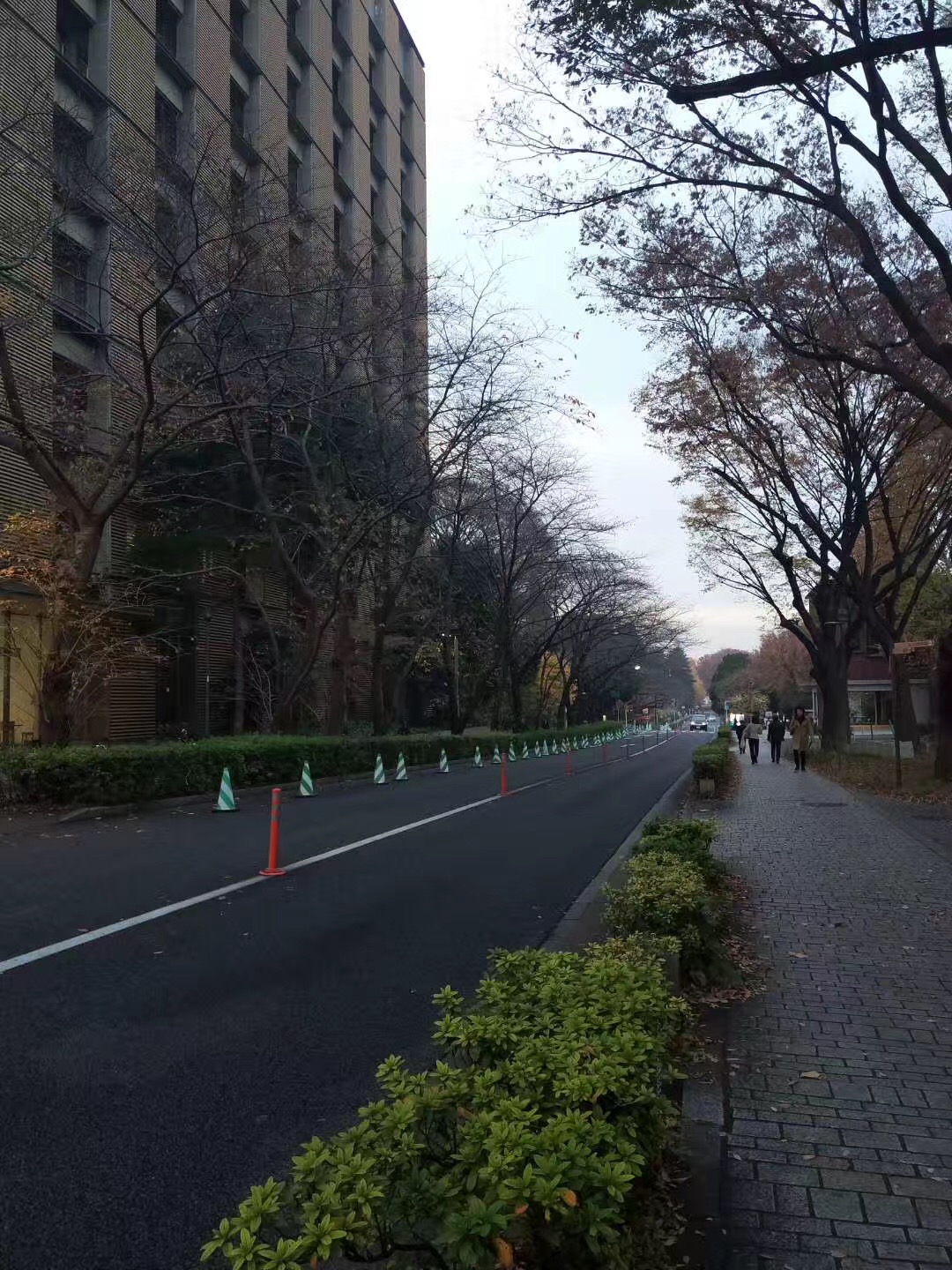 了解日本留学奖学金那些事儿，读这一篇文章就够了!