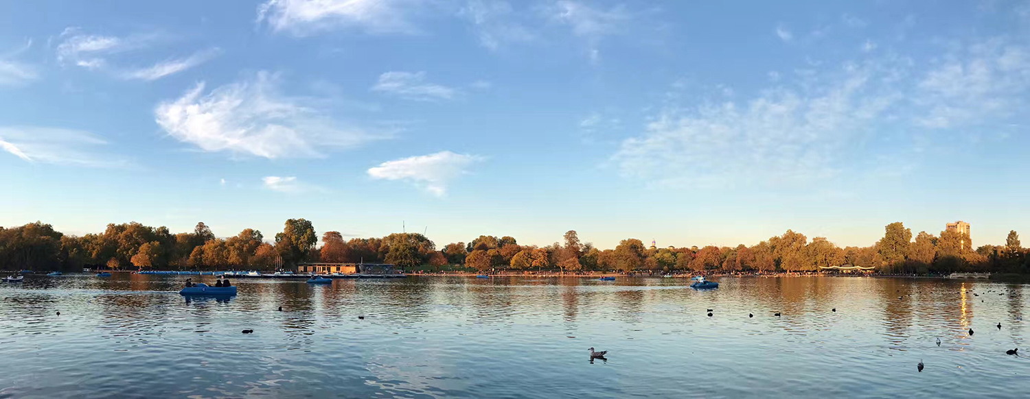 去英国留学读书有哪些相似的专业？