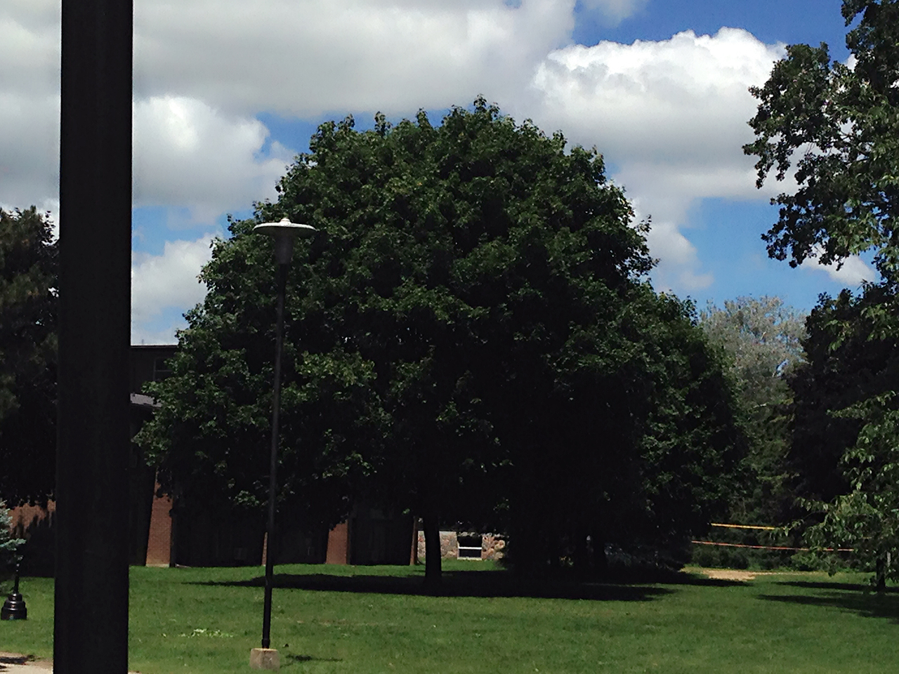 去加拿大留学，这些不得不看！