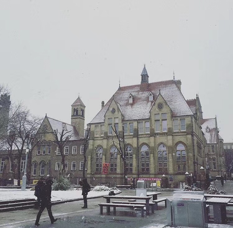 2022年LSE新开这些专业，10月初开放！