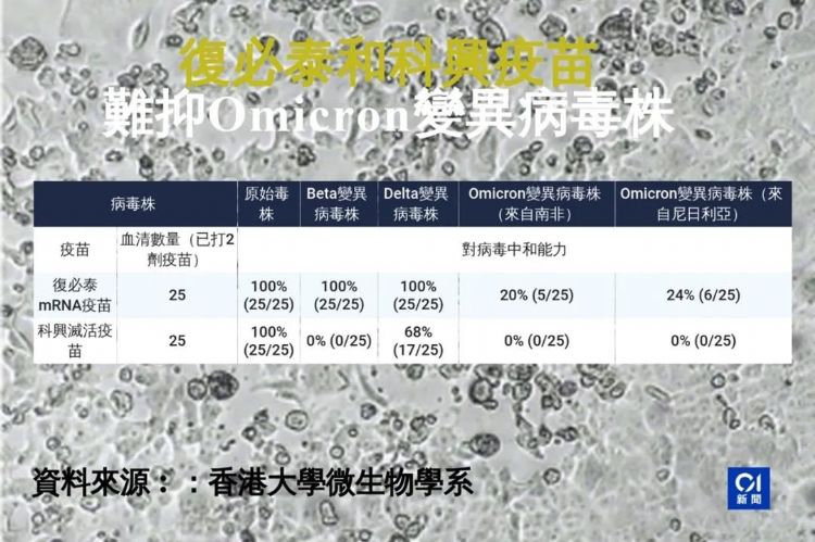 香港最新政策以及通关信息