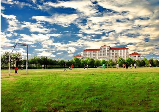 加拿大文科专业有哪些分类？