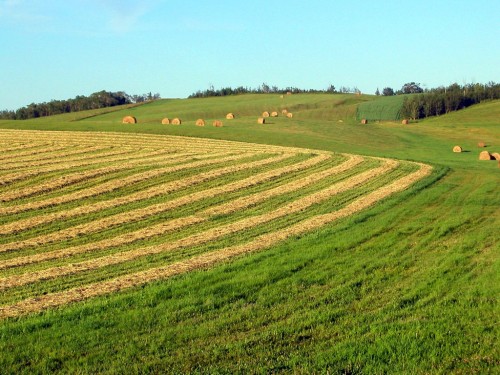盘点加拿大10所名校本科留学条件！