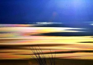 12所加拿大院校及申请条件详解，莫要错过！