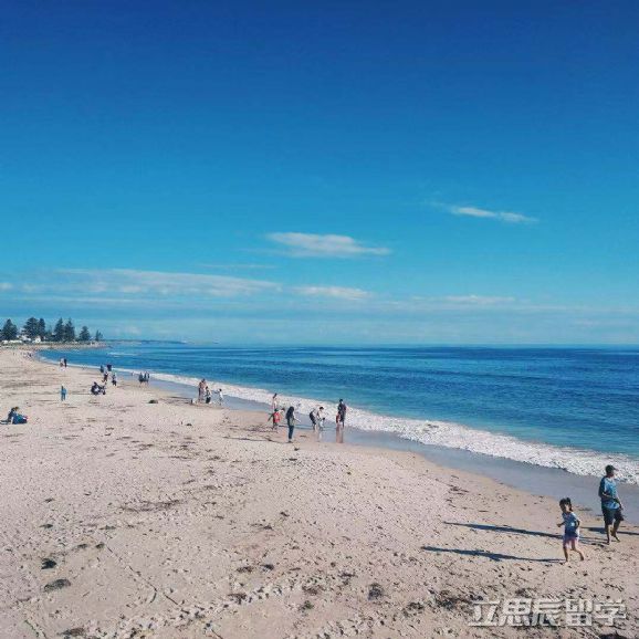 Alevel成绩也能申请澳洲八大？附八大申请要求