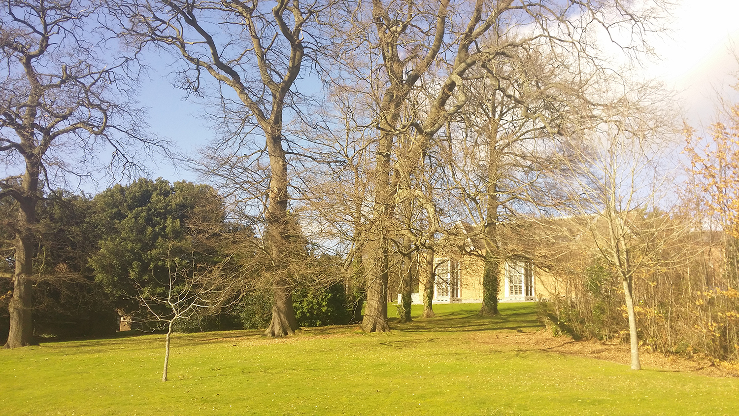 QS最强百大！为何英国这17所大学能屹立世界前100不倒？