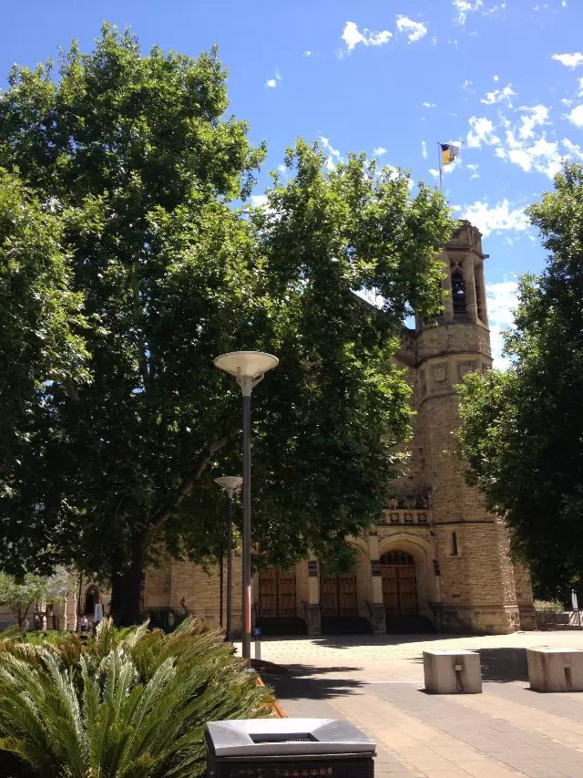 智库呼吁澳洲放宽移民，为经济恢复提速！留学生将受益！