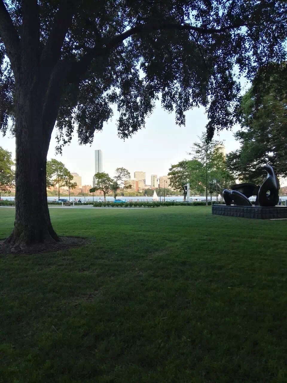 好消息！中国科兴新冠疫苗获WHO审批！