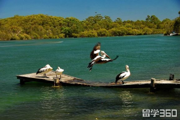 澳洲读高中优势