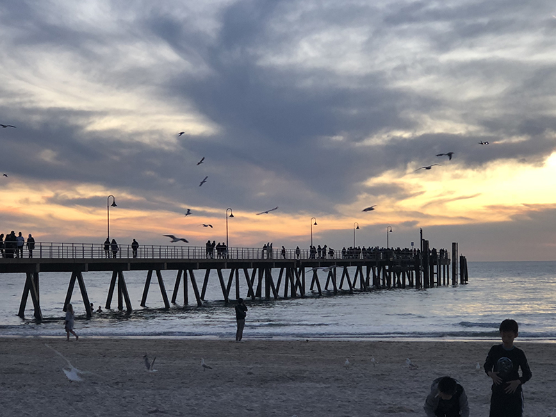 澳洲各高等院校发钱了！最高可减免学费50%！